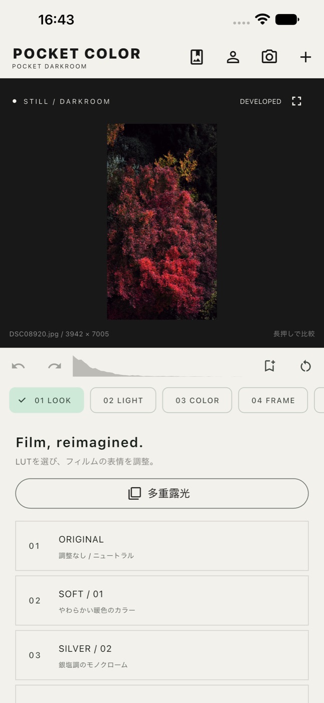 POCKET COLOR のルックを選ぶ画面